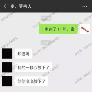 91秦先生国产,国产生态下的创新与突破