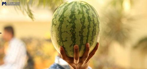 娱乐圈的瓜哪里吃,揭秘明星幕后故事